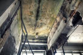 Professional Mold Inspection in Golden Beach, MD